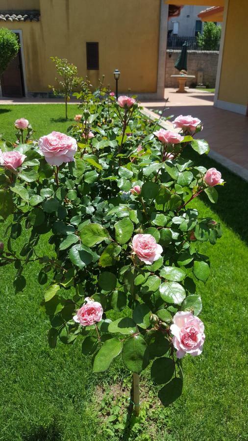 Вилла Le Rose Di Модика Экстерьер фото